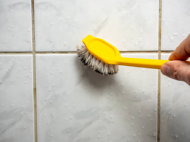 Best Black Mold Removal  in Coon Rapids, MN