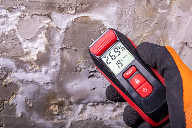 Home Mold Removal in Coon Rapids, MN