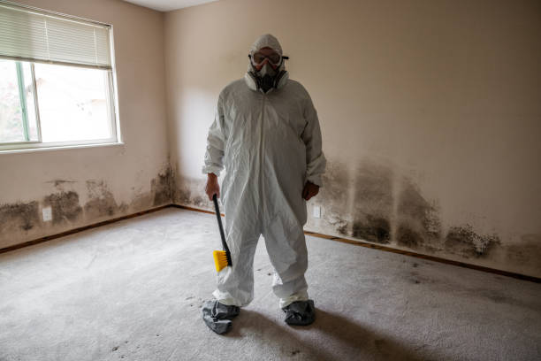 Mold Testing and Removal in Coon Rapids, MN